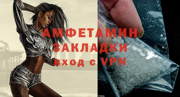 стафф Гатчина