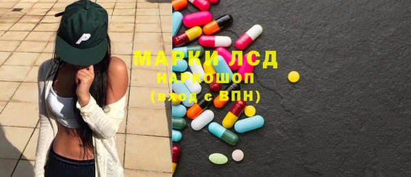 прущие грибы Гвардейск