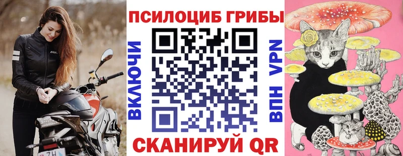 дарк нет формула Дигора Псилоцибиновые грибы ЛСД хочу наркоту