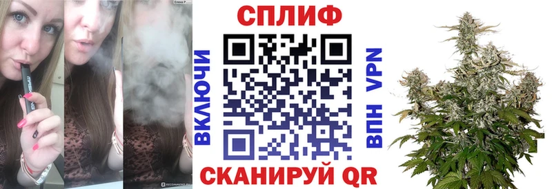 где купить   Дигора  Каннабис White Widow 